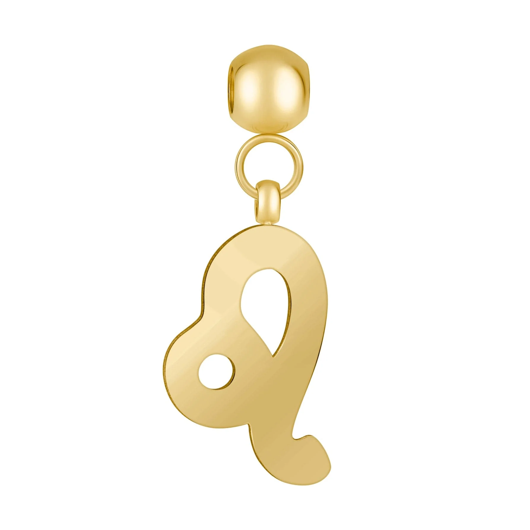 Leo Charm